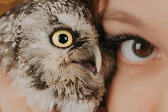 Casino AllStar Slots Soporte